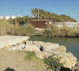 Hier wurde die Eisenbrücke am 14.2.zerstört