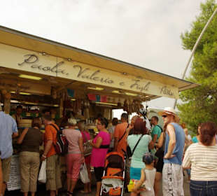 Markttag im September -Angebote - Geschäfte