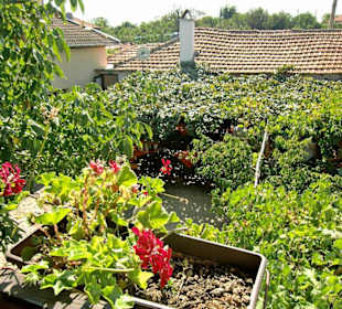 Ausblick von der oberen Terrasse