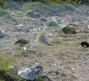 Kap der Guten Hoffnung