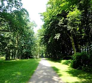 Impressionen aus dem Gesundheitspark Speckenbüttel