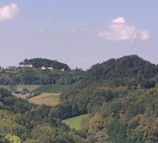 Kellergassl am Gegenhang