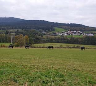 Wandern Hohenwarth