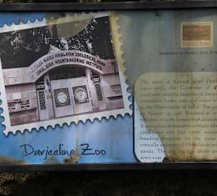 Padmaja Naidu Himalayan Darjeeling Zoo