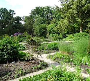 Spaziergang durch den Botanischen Garten Bremen