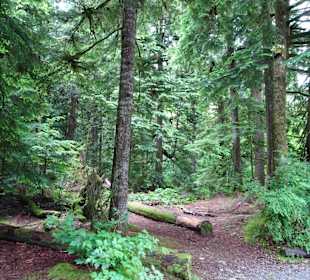 Shannon Falls Provincial Park