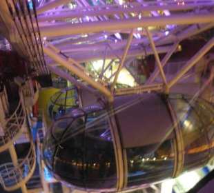 Dettaglio della struttura