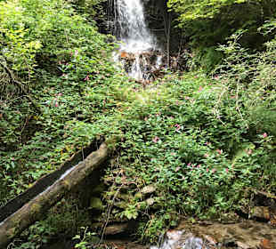 Wandergebiet Schennaberg