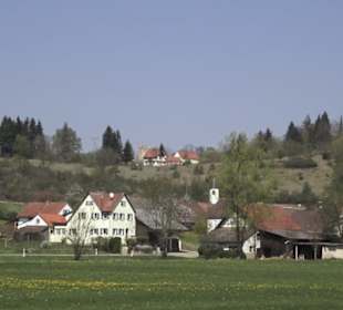Waldlehrpfad an der Lauter