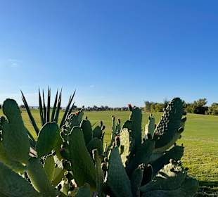 El Gouna Golfplatz