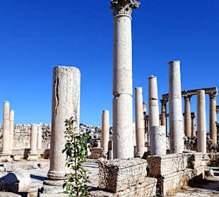 Gerasa (Jerash)