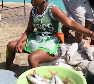 Fischmarkt in Santa Maria