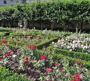 Rundgang durch den Rosengarten der Neuen Residenz