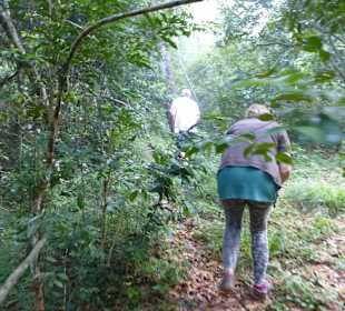 Fußpirsch mit DM Tours