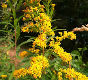 Kampinoski Park Narodowy