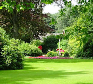 Hochsommer im Kurpark Bruchhausen-Vilsen