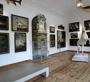 Das Jagdzimmer im Schloss Hellbrunn