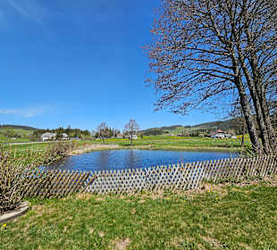 Gartenanlage