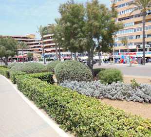 Grünfläche an der Promenade