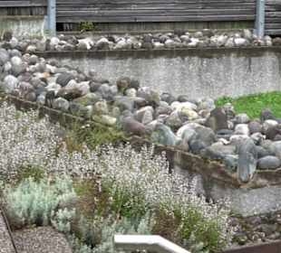 Bodendenkmal St. Benedikt