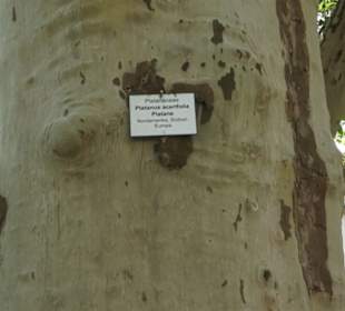 SchlossparkSchlosspark