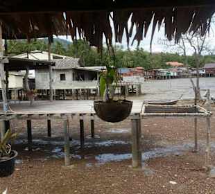 Blick vom Restaurant auf Nachbargebäude