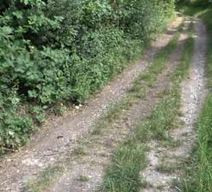 Wanderweg Ammerbucher Gigeleswegle