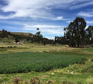 Jezioro Titicaca, Peru