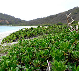 Traumstrand