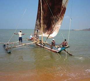 Auf zum Garnelenfischen