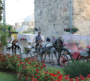 Pferdekutsche - Ausflug in Antalya
