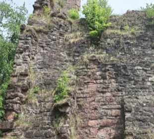 Burgruine Sterneck
