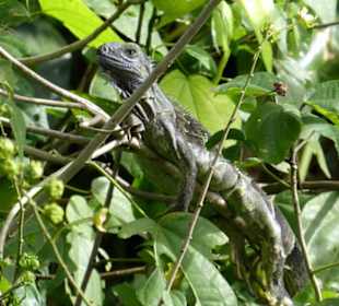 Relax Day Tour mit Federico. Eine kleine Auswahl
