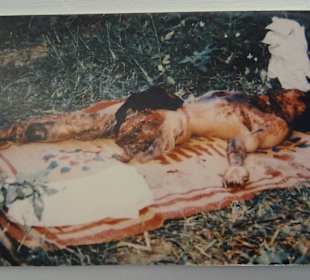 Bilder die aufrütteln und betroffen machen