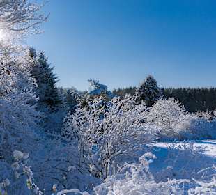 Wandern Geisfeld
