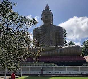 Hochland von Sri Lanka