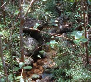 Black River Nationalpark