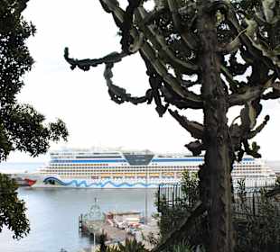 Madeira Funchal - AIDAbella