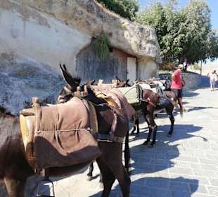 Wir sind zu Fuß hinauf...