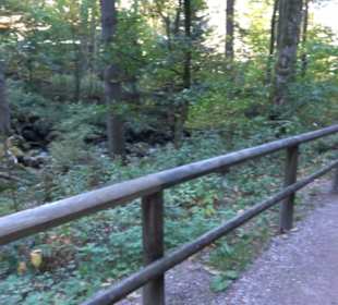 Triberger Wasserfälle