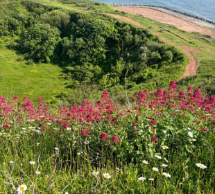 Wandern Helgoland