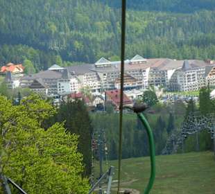 Karkonoski Park Narodowy