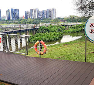Jurong Lake und Gärten