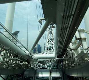 Technik des Rieserads