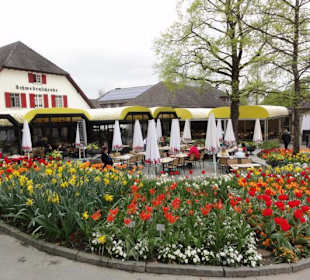 Insel Mainau im Mai