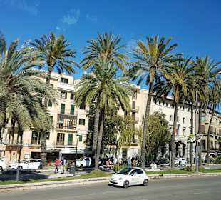 Altstadt Palma de Mallorca