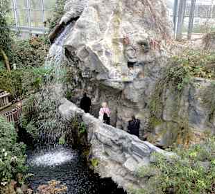 Der Wasserfall in der Botanika