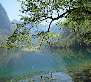 Obersee