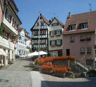 Stadt Bad Wimpfen