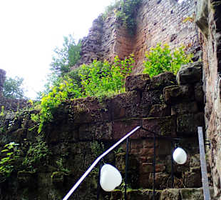 Burg Wilenstein in Trippstadt